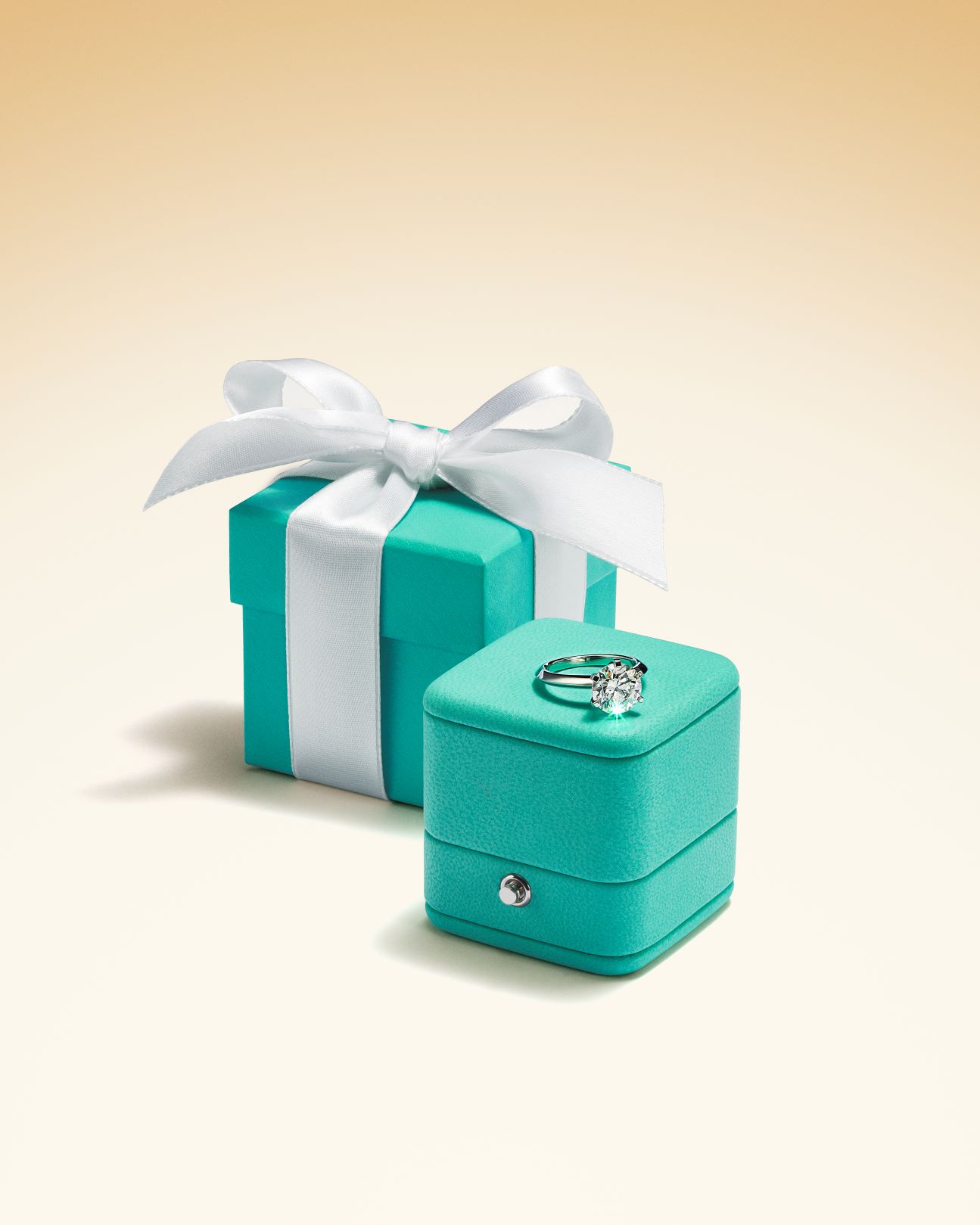 Tiffany & Co. 蒂芙尼The Tiffany® Setting六爪镶嵌钻戒.jpg